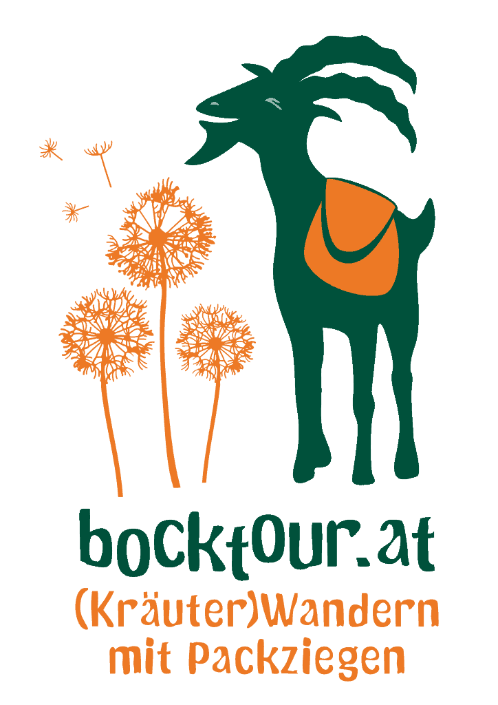 Corporate Design - bocktour.at